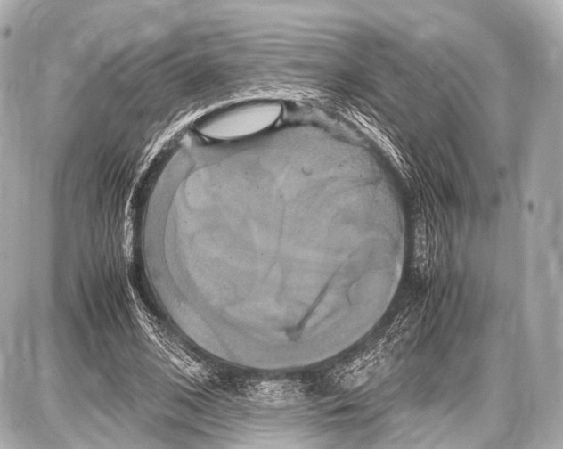 X0000087010584200705141833