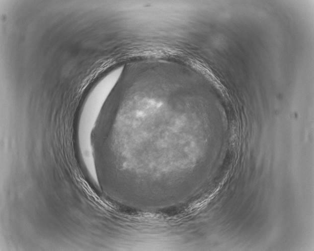 X0000087010585200705141833