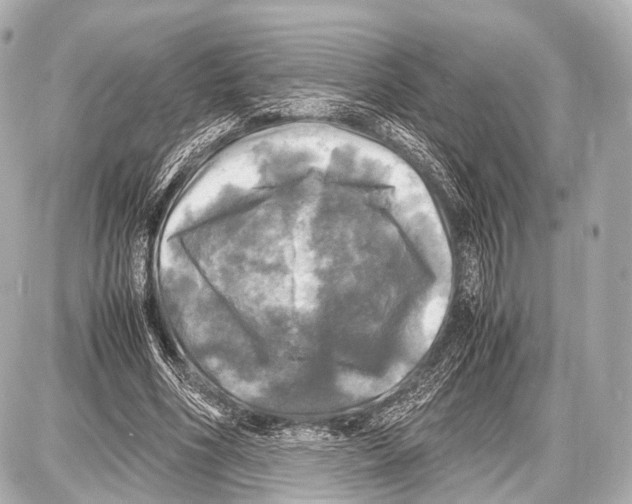 X0000087010586200705141833