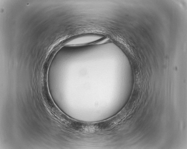 X0000087010587200705141833