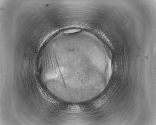 X0000087010588200705141833