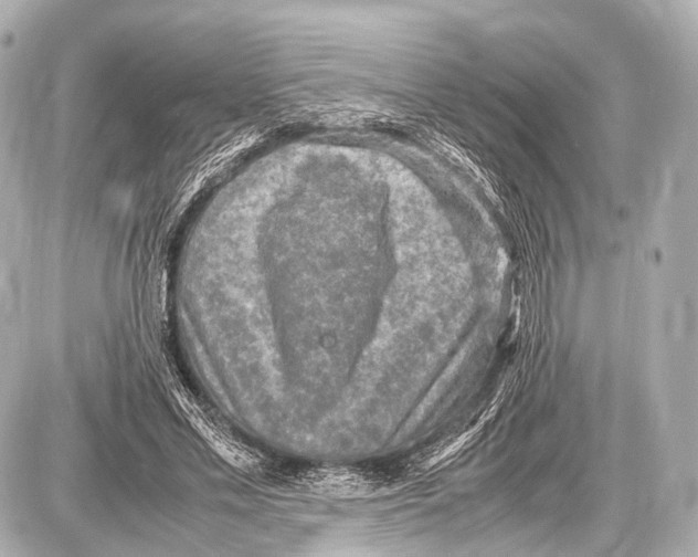 X0000087010589200705141833