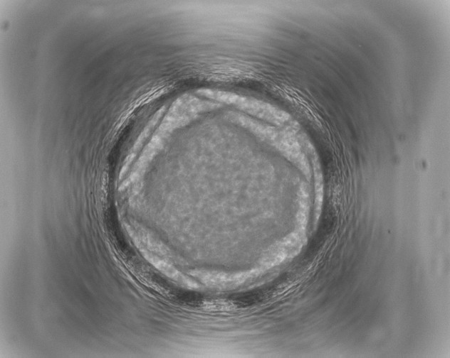 X0000087010591200705141833