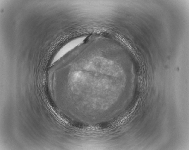 X0000087010593200705141833