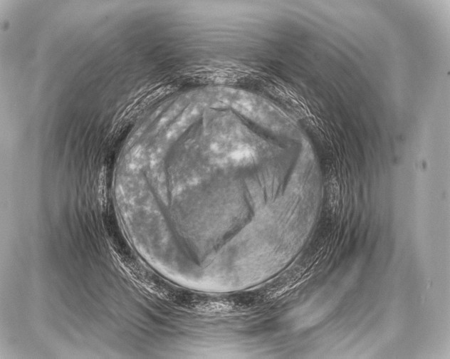 X0000087010594200705141833