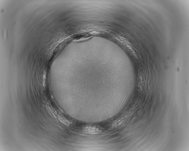 X0000087010596200705141833