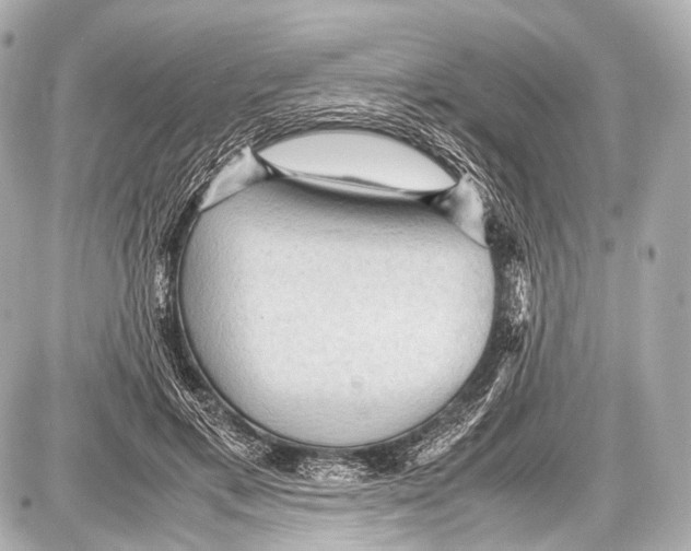 X0000087010597200705141833