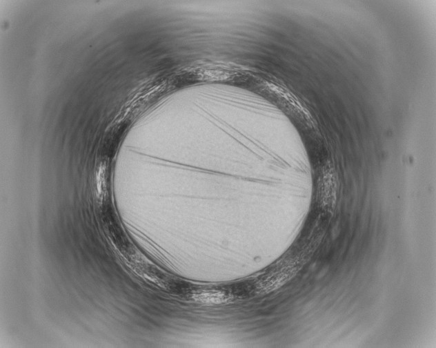 X0000087010598200705141833