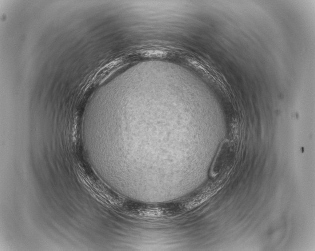 X0000087010600200705141833