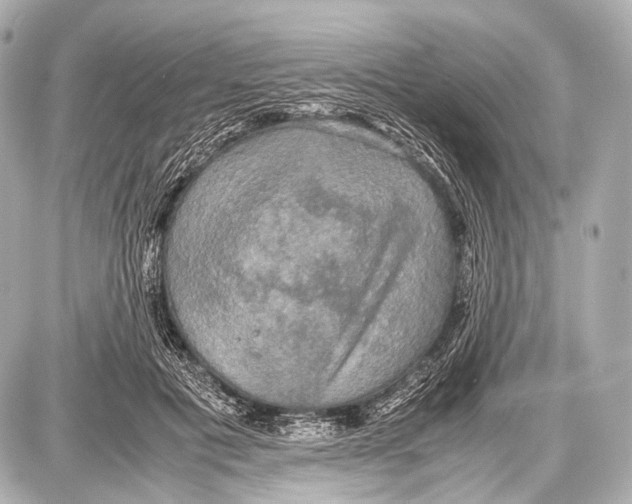 X0000087010601200705141833