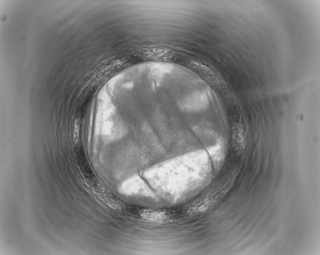 X0000087010602200705141833