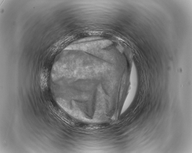 X0000087010604200705141833