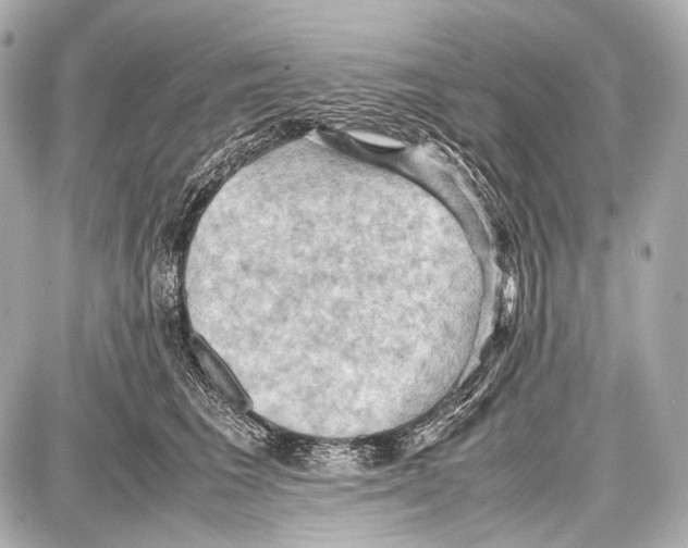 X0000087010613200705141833