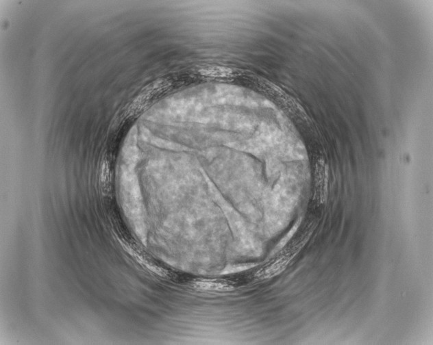 X0000087010614200705141833