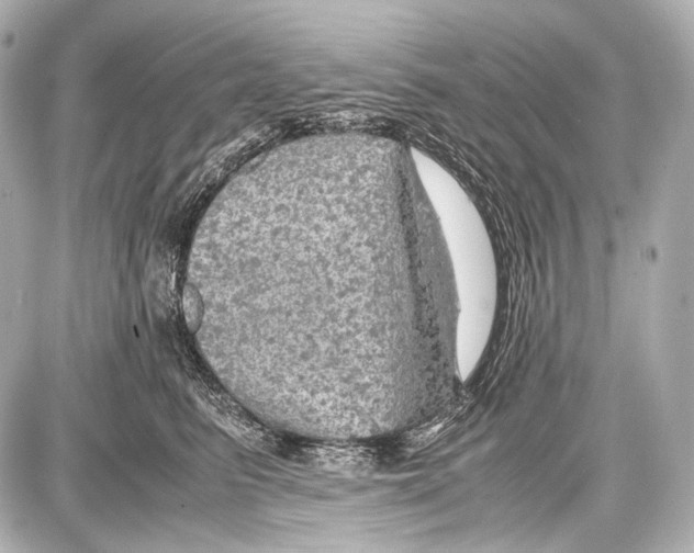 X0000087010615200705141833