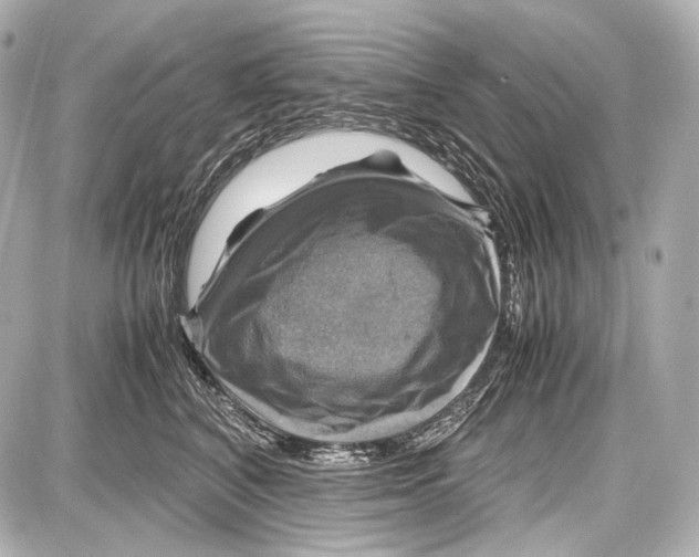 X0000087010616200705141833