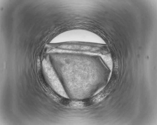 X0000087010617200705141833