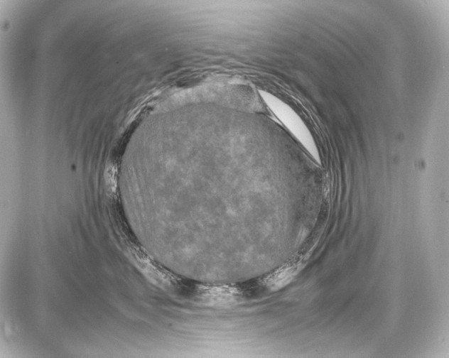 X0000087010621200705141833