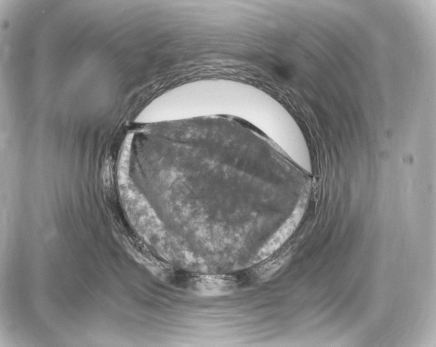 X0000087010623200705141833