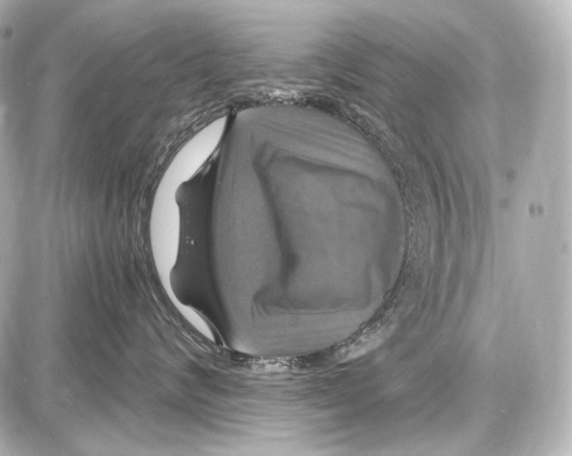 X0000087010624200705141833