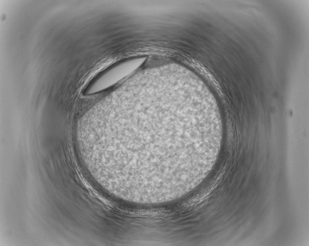 X0000087010625200705141832