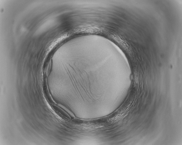 X0000087010630200705141832