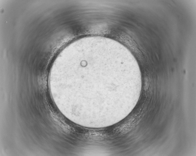 X0000087010632200705141832