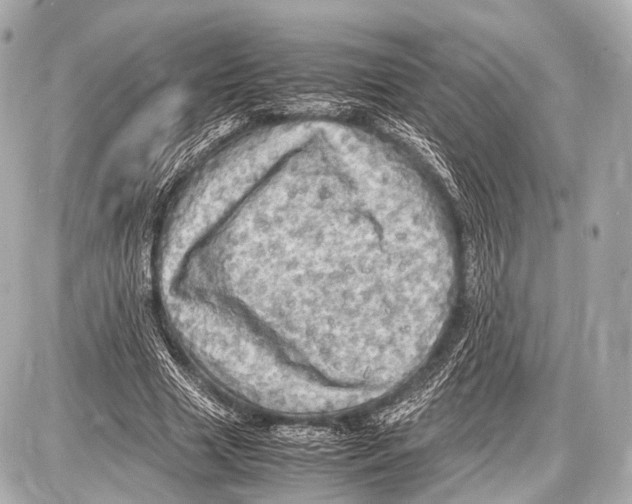 X0000087010633200705141832