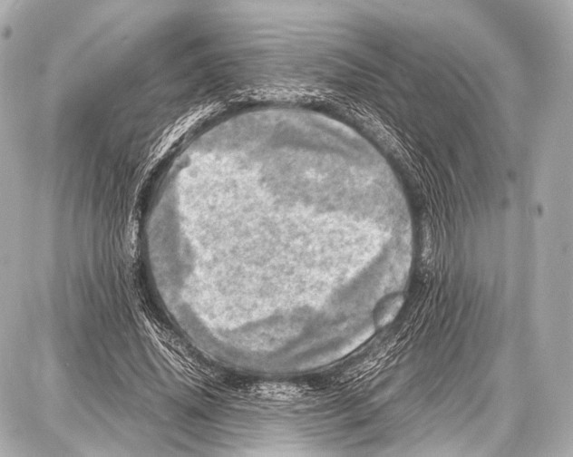 X0000087010636200705141832