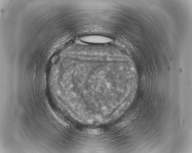 X0000087010638200705141832