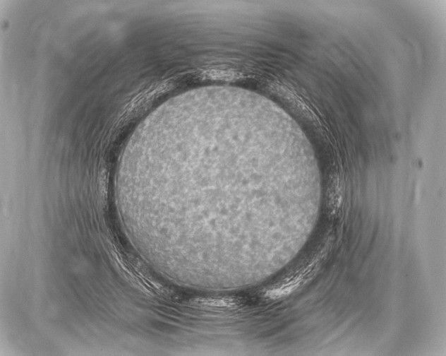 X0000087010639200705141832