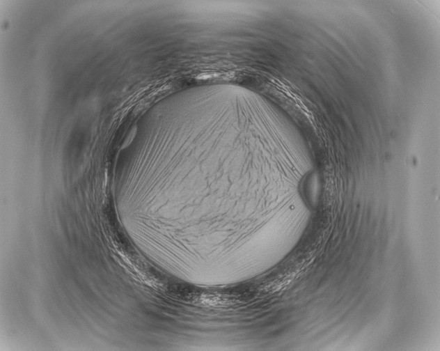 X0000087010641200705141832