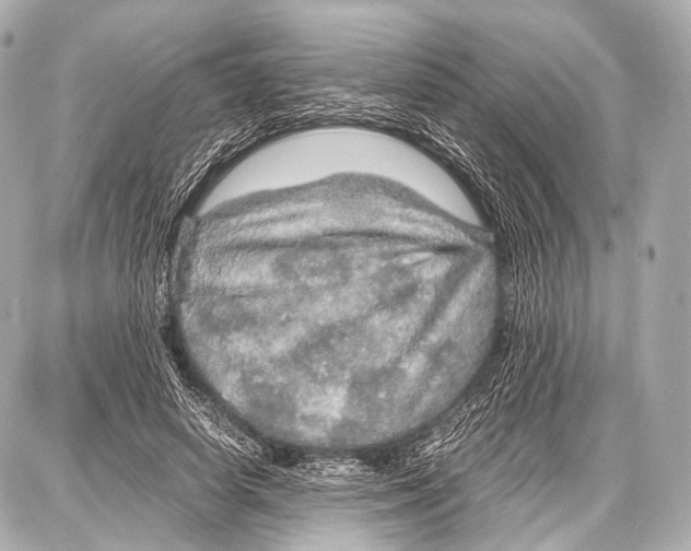 X0000087010642200705141832