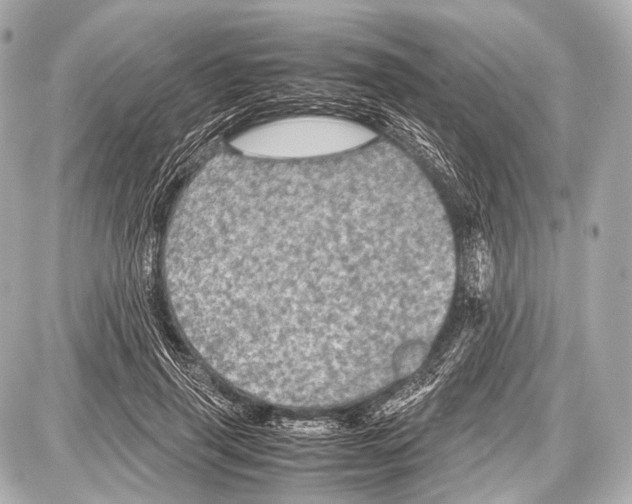 X0000087010645200705141832