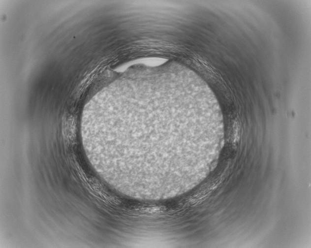 X0000087010646200705141832