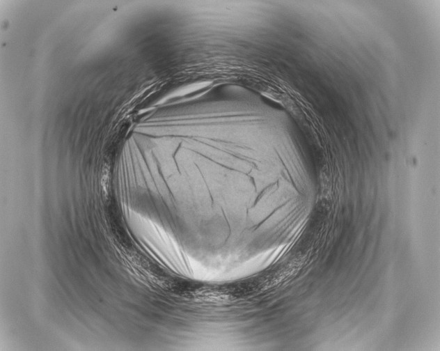 X0000087010648200705141832