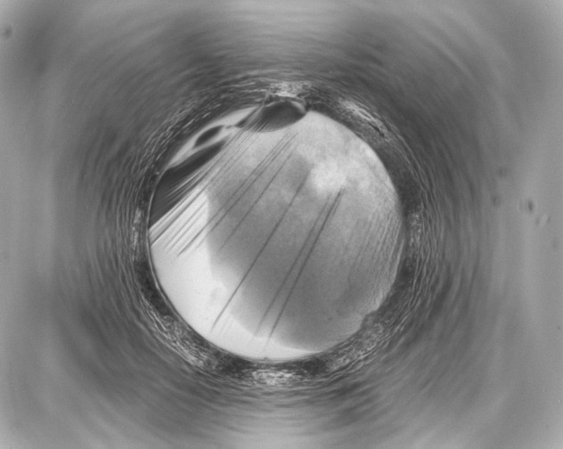 X0000087010650200705141832