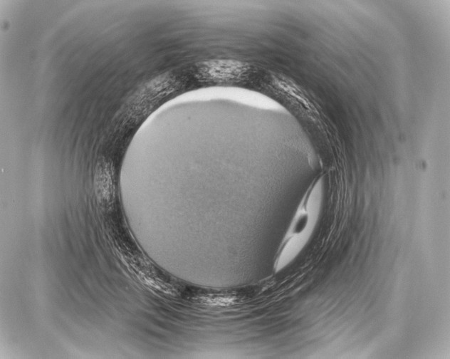 X0000087010651200705141832