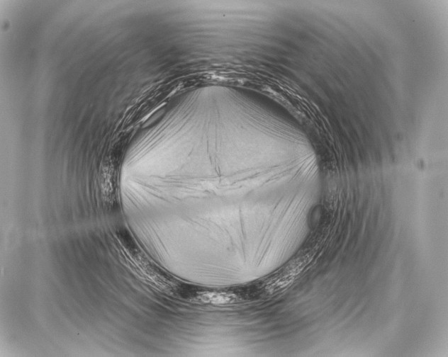 X0000087010654200705141832