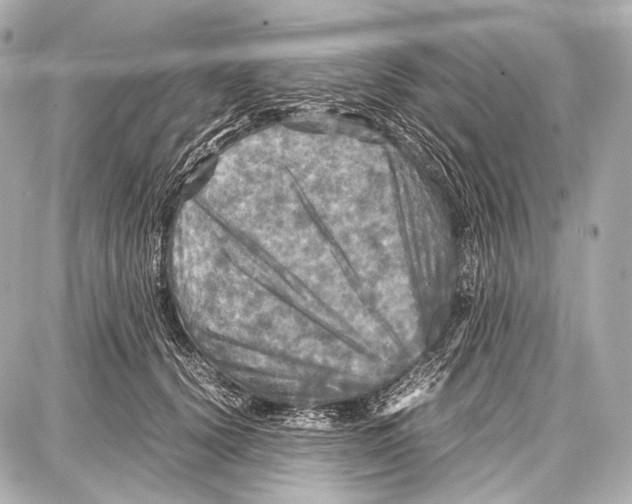 X0000087010656200705141832