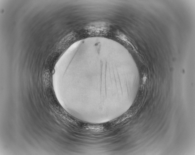 X0000087010659200705141832