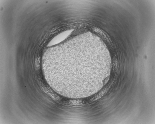 X0000087010660200705141832