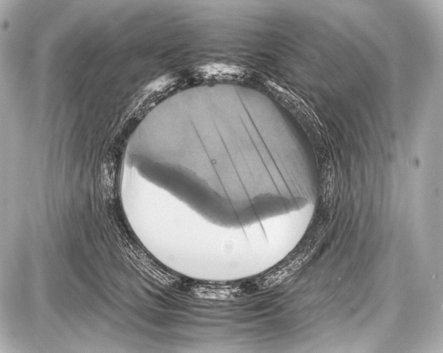 X0000087010661200705141832