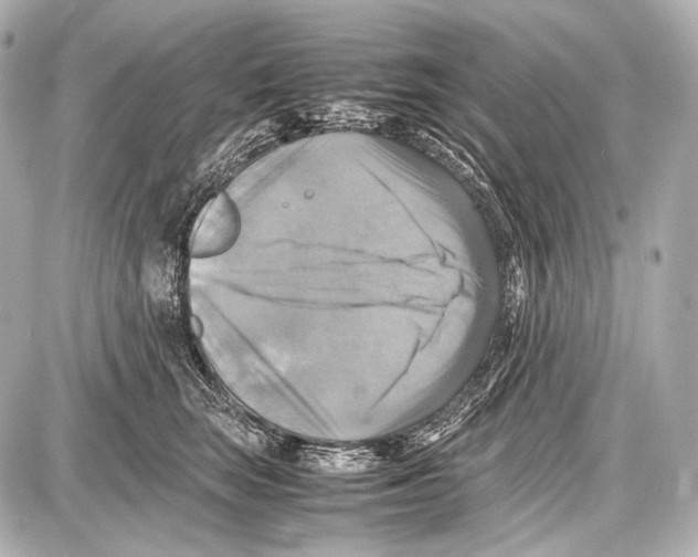 X0000087010663200705141833