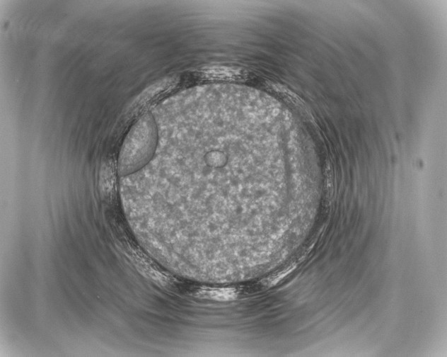 X0000087010665200705141833