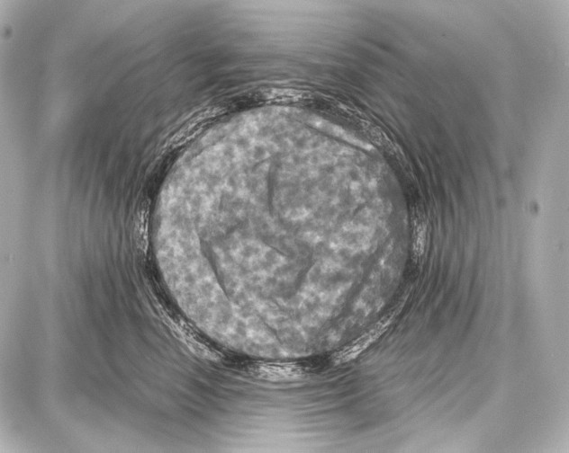 X0000087010666200705141833