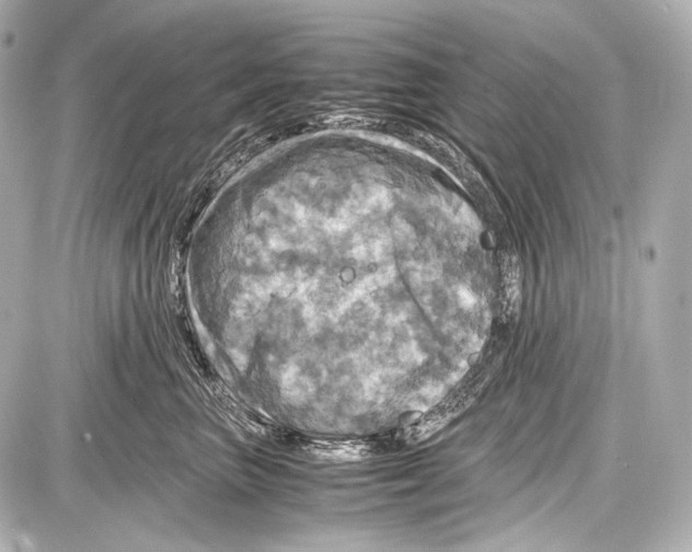 X0000087010667200705141833