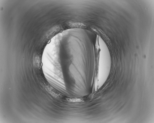 X0000087010669200705141833