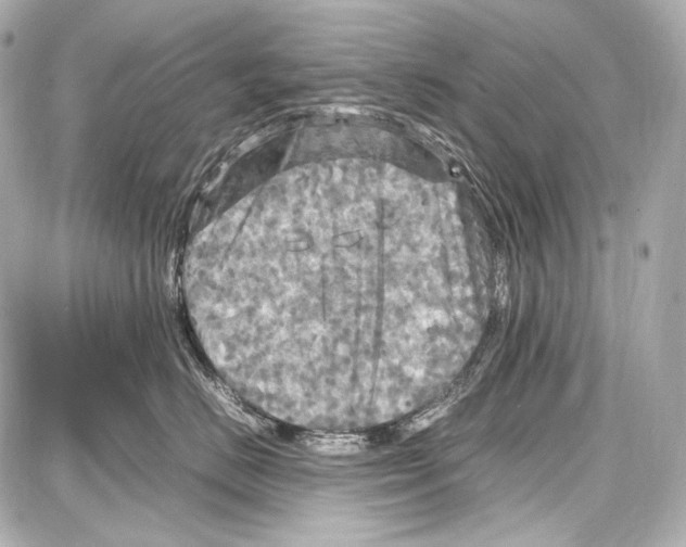 X0000087010670200705141833