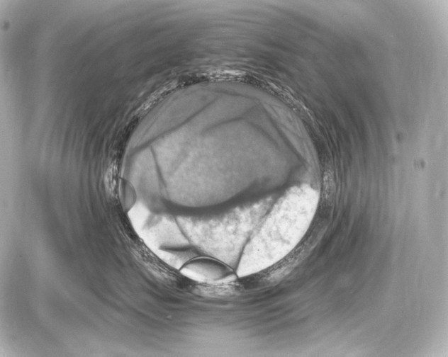 X0000087010671200705141833